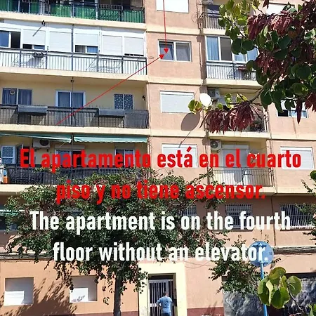 Delphin Botanik * Αλικάντε