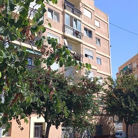 Delphin Botanik Appartamento Alicante